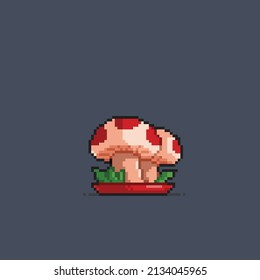 two mushroom in a plate with pixel style
