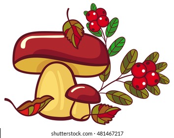 Two mushrooms and cranberries isolated on a white. Forest gifts. Vector clip art.