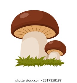 Dos setas en el césped. Las setas del bosque están aisladas en un fondo blanco. Ilustración vectorial.