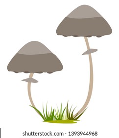 Two mushrooms growing illustration vector on white background 