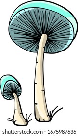 Two mushrooms, illustration, vector on white background.