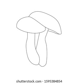 Two mushrooms on white background. Hand drawn. Line icon. Vector illustration.