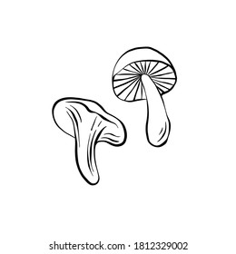 Two mushrooms vector illustration, linear style, side view. Monochrome autumn clipart isolated on white background. Good for icons, label, poster, print, blogs, cards, menu, packaging.