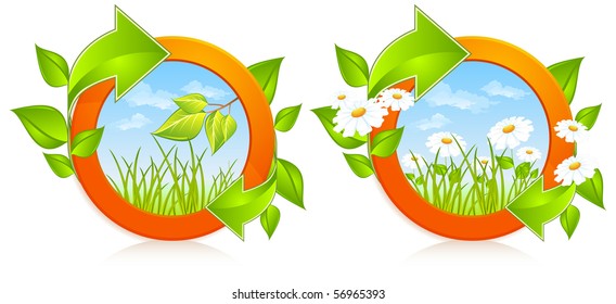 Two nature circles with daisies and green arrow, vector illustration