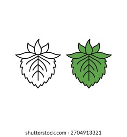 Two nettle leaves, one colored green, isolated on