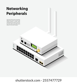 Two networking peripherals in isometric 3D for corporations