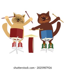 two nice cats with drums on white background
