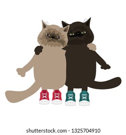 two nice cats on white background 