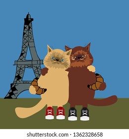 Two nice cats in Paris 