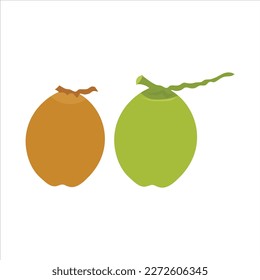Two nice coconuts vector art work.