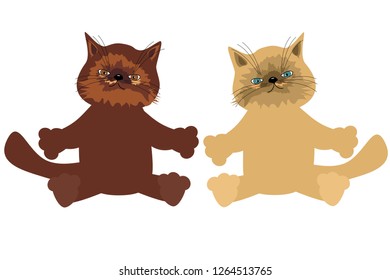 two nice little kittens on white isolated 