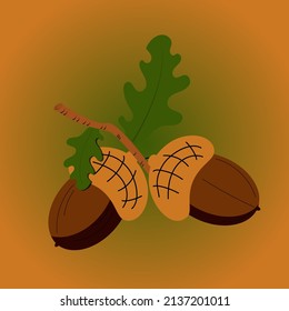 Two oak acorns with leaves on an isolated background. Flat design.