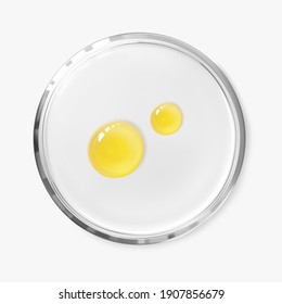 Two oil serum drops on petri dish isolated on white background realistic vector illustration, top view. Concept laboratory tests and research. Transparent chemistry glassware