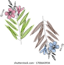 two oleander flowers in black and white with multicolored ovals. The inscription in Latin "Nérium". Vector. Any color
