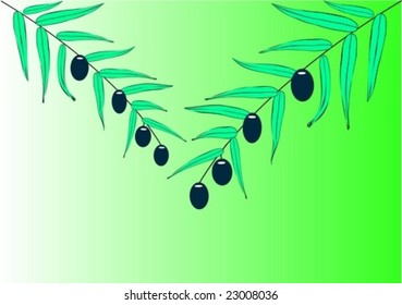 Two olive branches on a green background