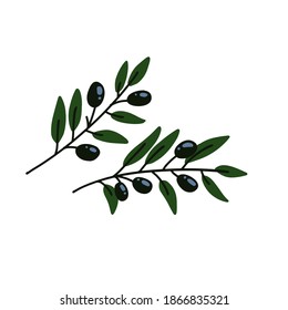 Two Olives branches   Greek olives branch set  summer oil food tree twigs   leaves flat vector illustration