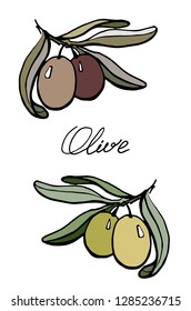 Two olives, logo. Hand drawn, graphics sketch,colored illustration