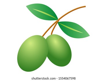 Two olives on a white background.