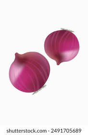 Two onions on a white background