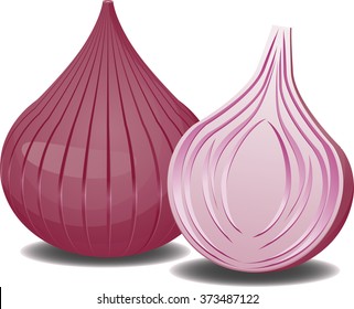 Two onions one sliced and the other full vector icons