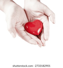 Duas mãos abertas segurando suavemente um coração vermelho brilhante, simbolizando amor, cuidado, compaixão, confiança e apoio emocional em um fundo branco limpo.