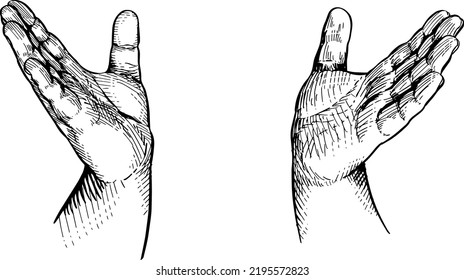 Two open hands, spaced apart. Hands language, non-verbal communication. Black and white vector illustration on white background
