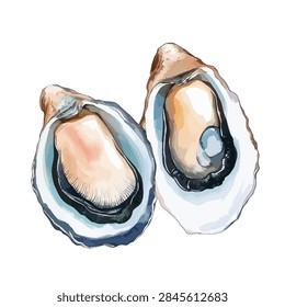 Two open oyster shells with pearl