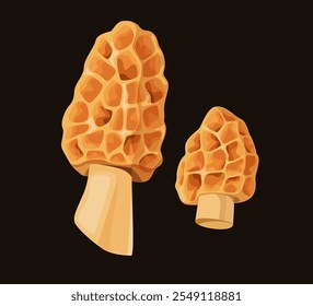 Dois cogumelos laranjas morel com capas texturizadas e caules de cor creme. Ilustração sobre fundo escuro. Alimentação biológica e conceito de colheita sazonal.