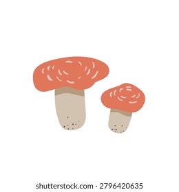 Two orange mushrooms isolated on a light background. Cute flat vector illustration featuring woodland fungi in warm natural colors.
