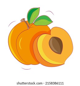 Two orange peaches with green leaves, one of them with pit. Bright and colourful icon.
Flat vector illustration.  
