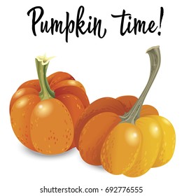 Two orange pumpkin isolated on white background. Vector illustration