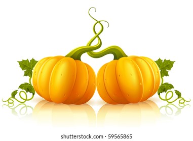 two orange pumpkins with green leaves