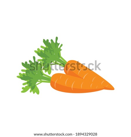 Two orange ripe carrots with tops flat vector illustration