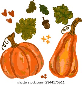 Two orange ripe pumpkins. Autumn illustration. Vector  set
