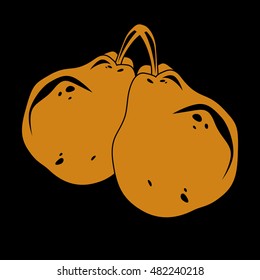 Two orange simple vector pears, ripe sweet fruits illustration. Healthy and organic food, harvest season symbol. 