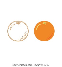 Two oranges, one is a line drawing isolated on