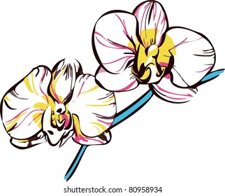 two orchids with yellow center and pale pink petals