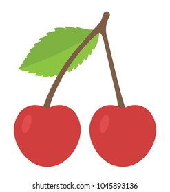 Two organic cherries, healthy fruit