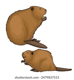 two otters with different position styles