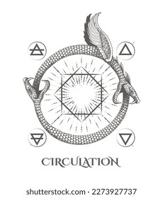 Two Ouroboros Snakes Eat Their Tails and Nature Elements symbol Esoteric Circulation Concept isolated on white.
Vector illustration.