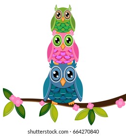 two owls with baby on a branch