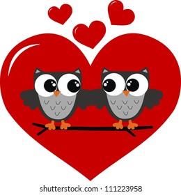two owls in love