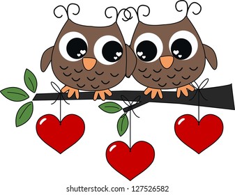 two owls in love