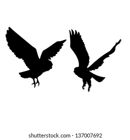 Two owls love silhouettes