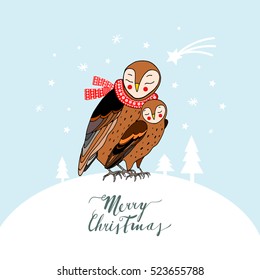 Two owls on a Christmas winter background. Christmas greeting card, vector illustration