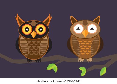 Two owls perched on a branch at night