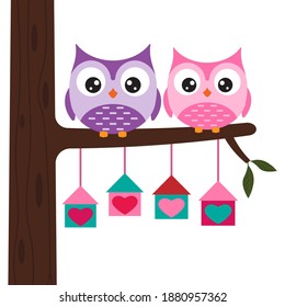 Zwei Owls, die auf dem Ast sitzen, mit Herdgeburtshäusern	