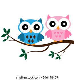 Two Owls sitting on the branch
