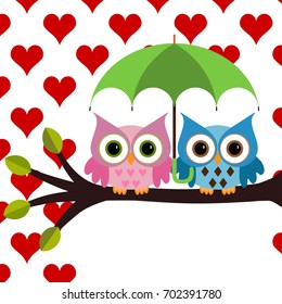 Two Owls sitting on the branch with green umbrella under the hearts rain