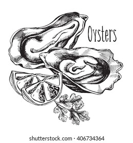 Two oysters and sliced lemon. Hand drawn vector illustration. Template for design seafood shop or restaurant.